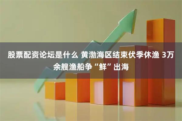 股票配资论坛是什么 黄渤海区结束伏季休渔 3万余艘渔船争“鲜”出海